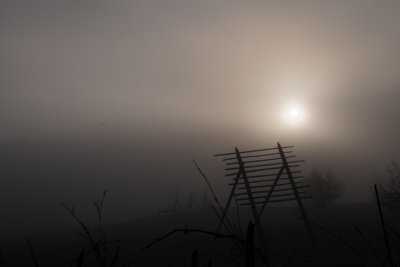 DSC_3736.JPG