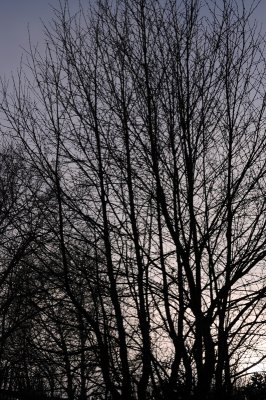 DSC_3729.JPG