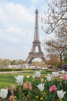 April in Paris DSC_0950.JPG