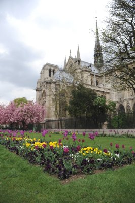 Notre Dame in Spring DSC_1088.JPG