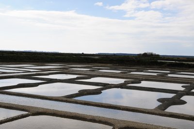 salt marshes in Guerande DSC_1531.JPG