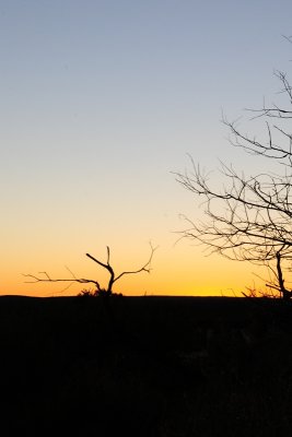 standing in Uluru sunset DSC_4610.JPG