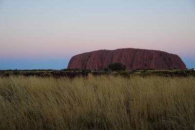 violet Ayers Rock DSC_5071.JPG