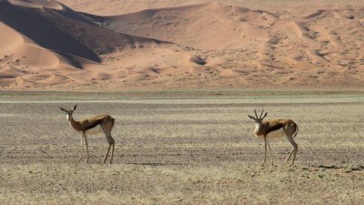 Namibia_0421.jpg