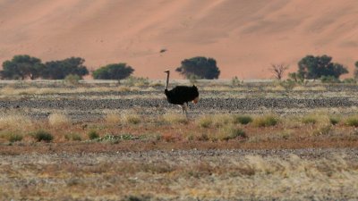 Namibia_0438.jpg