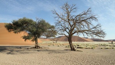 Namibia_0442.jpg