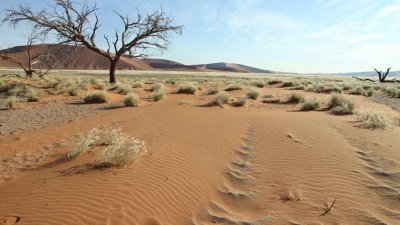 Namibia_0470.jpg