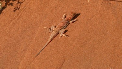 Namibia_0504.jpg