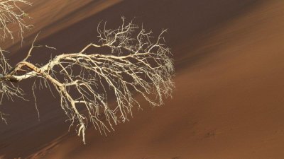 Namibia_0522.jpg
