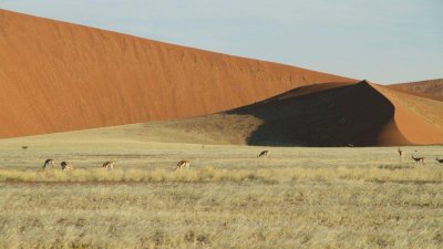 Namibia_0575.jpg