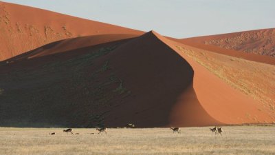 Namibia_0578.jpg