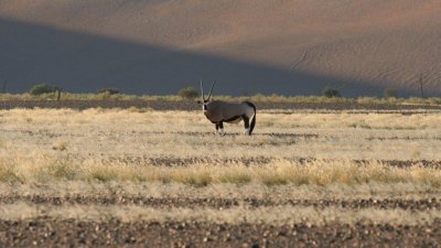 Namibia_0580.jpg
