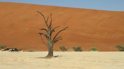 Namibia_0640.jpg