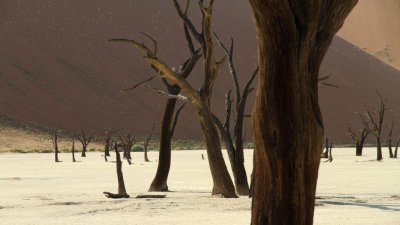 Namibia_0644.jpg