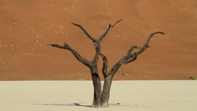 Namibia_0687.jpg