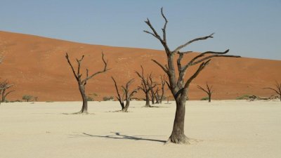 Namibia_0706.jpg