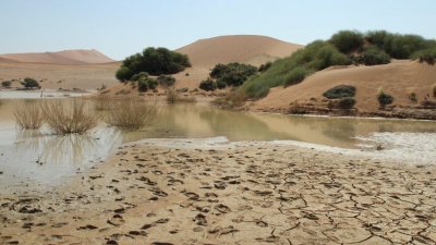 Namibia_0778.jpg