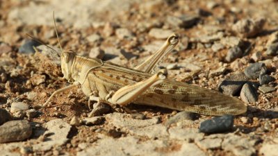 Namibia_0844.jpg