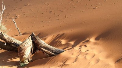 Namibia_0883.jpg