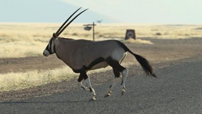 Namibia_0934.jpg