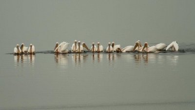 Namibia_0998.jpg