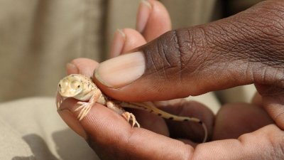 Namibia_1162.jpg