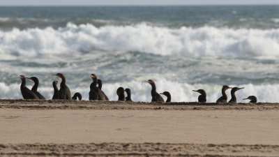 Namibia_1282.jpg