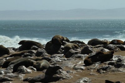 Namibia_1453.jpg