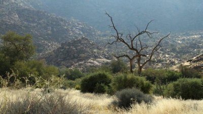 Namibia_1474.jpg