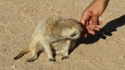 Namibia_1506.jpg
