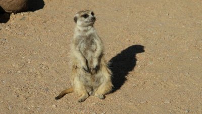 Namibia_1507.jpg