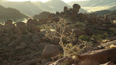 Namibia_1572.jpg