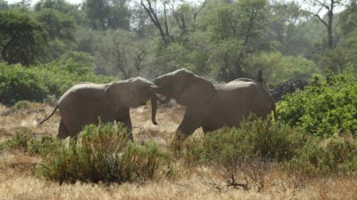 Namibia_1633.jpg