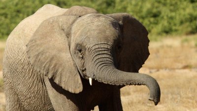 Namibia_1673.jpg