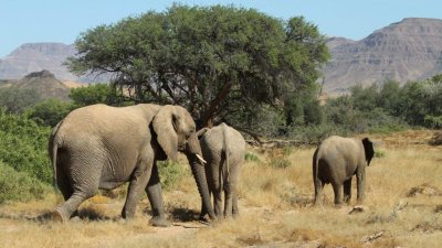 Namibia_1702.jpg