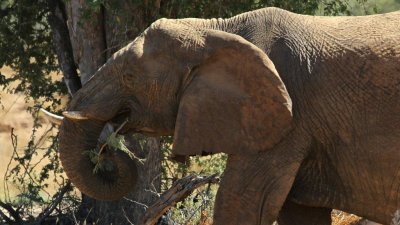 Namibia_1751.jpg