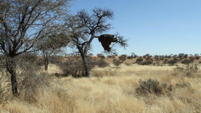 Namibia_0006.jpg