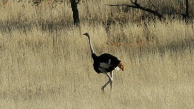 Namibia_0086.jpg