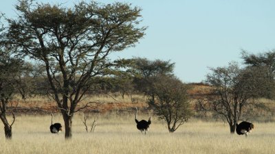 Namibia_0146.jpg