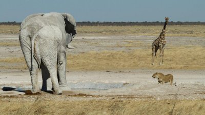 Namibia_2792.jpg