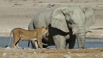 Namibia_2800.jpg