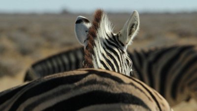 Namibia_2830.jpg