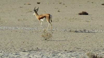 Namibia_2942.jpg