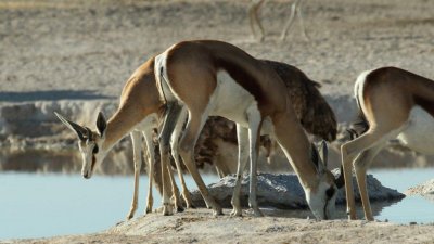 Namibia_2978.jpg