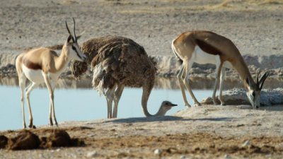 Namibia_2987.jpg