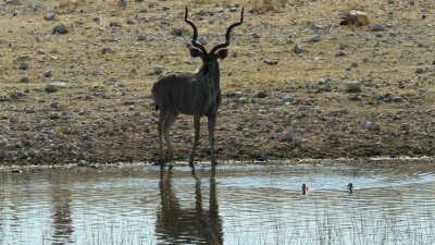 Namibia_3086.jpg