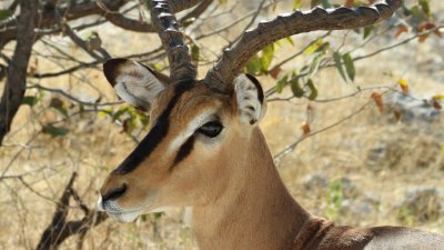 Namibia_3138.jpg