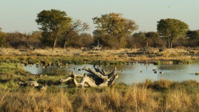 Namibia_3339.jpg