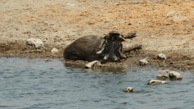 Namibia_3544.jpg