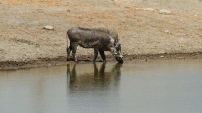 Namibia_3585.jpg